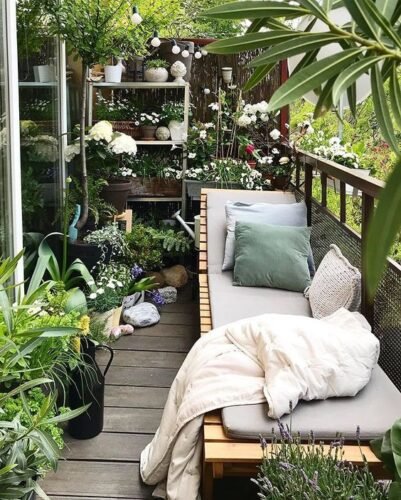plants